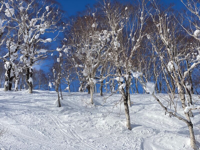 Rusutsu, Hokkaido, Japan. Image © PlanetSKI